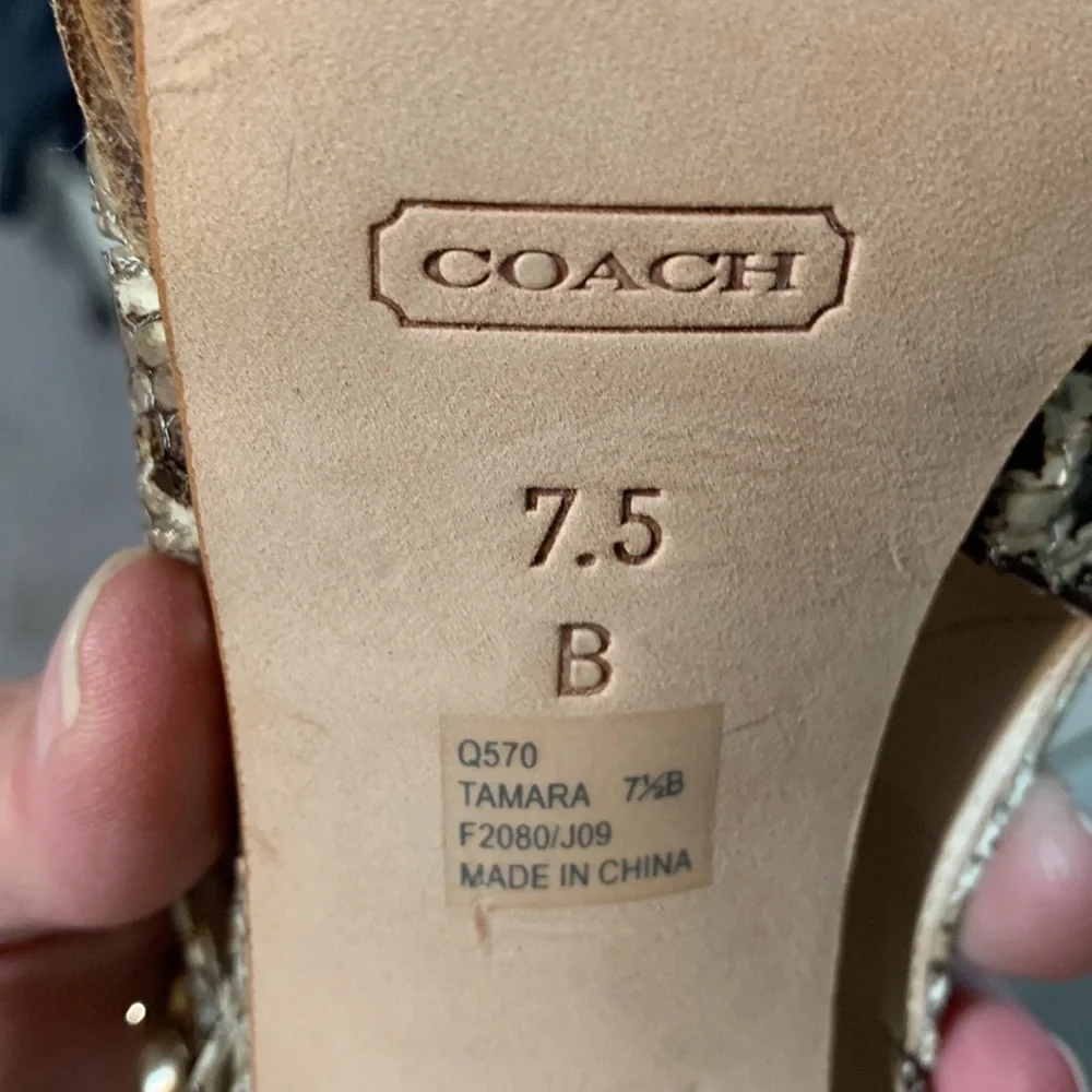 Coach tamara snakeskin
